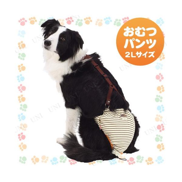 yeBI zuttoneނpc 2L