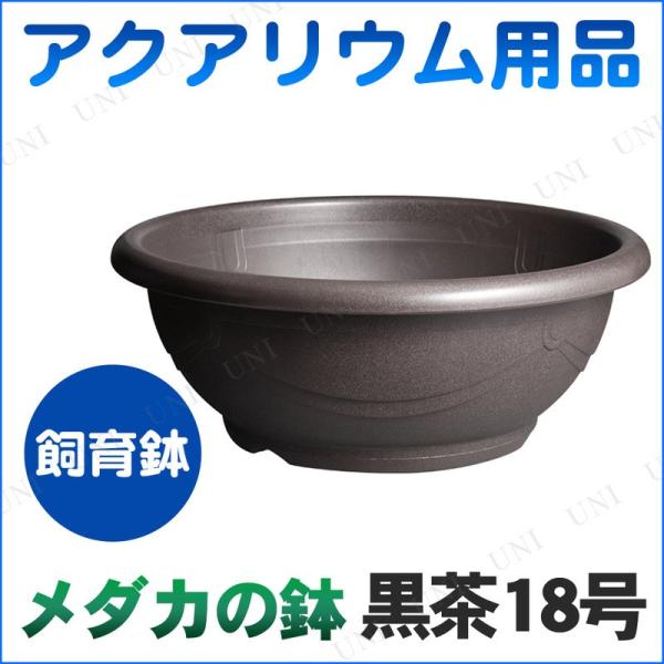 メダカ鉢　ビオトープ メダカ鉢黒茶 18号 ビオトープ 観賞魚 アクアリウム用品 水槽 飼育