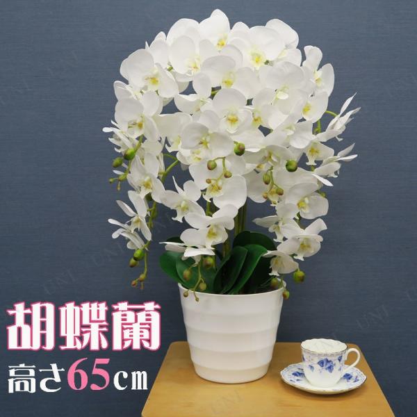 party-honpo_pw-84837s