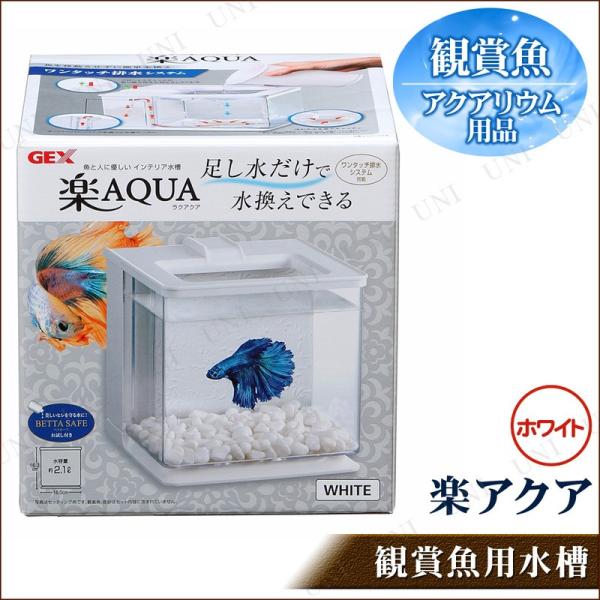 水槽 楽アクアの人気商品 通販 価格比較 価格 Com