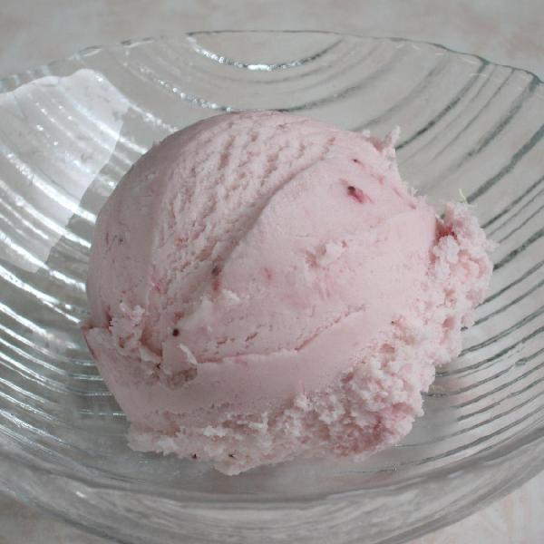 ƖpACXN[@Xgx[ACX@2bg