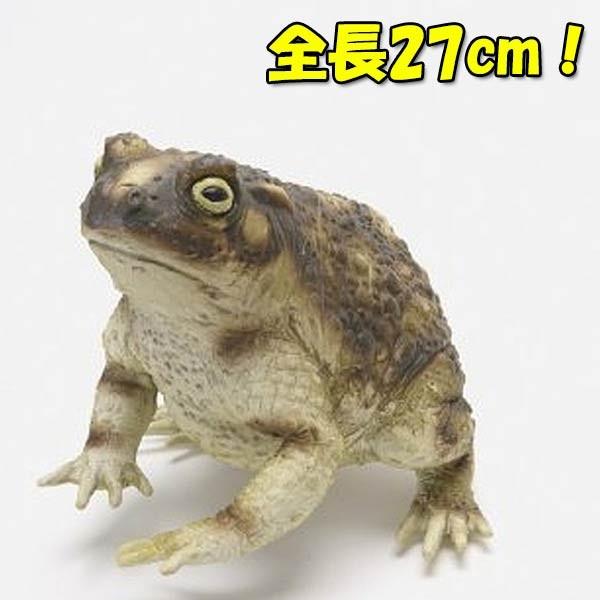 メガシリーズ ガマガエル 全長27cm 巨大生物 大きいフィギュア 模型 ディスプレイ 飾り ジョークグッズ フェイク 置物 両生類 かえる カエル Buyee Buyee Jasa Perwakilan Pembelian Barang Online Di Jepang
