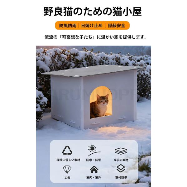 parumuoppa_caimtd01335_1_d_20251203144149