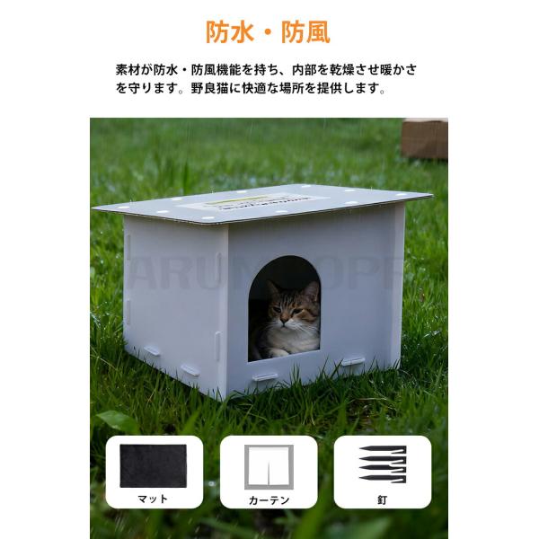 parumuoppa_caimtd01335_4_d_20251203144155