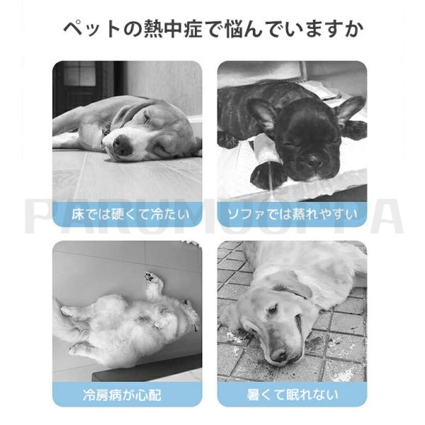 parumuoppa_caimtd0935_1_d_20250610144603