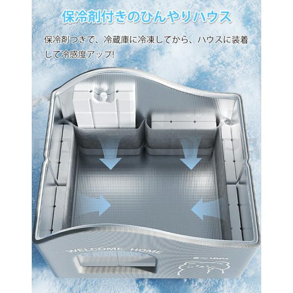 parumuoppa_caimtd0935_2_d_20250610144605