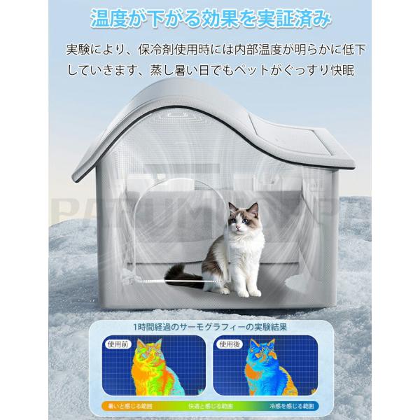 parumuoppa_caimtd0935_3_d_20250610144606