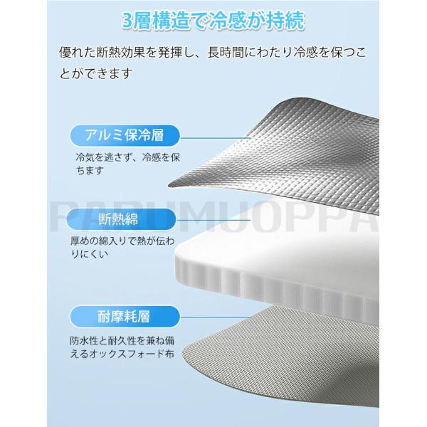 parumuoppa_caimtd0935_4_d_20250610144608