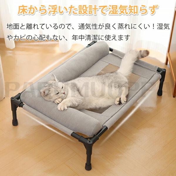 parumuoppa_caimtd0954_2_d_20250701120414