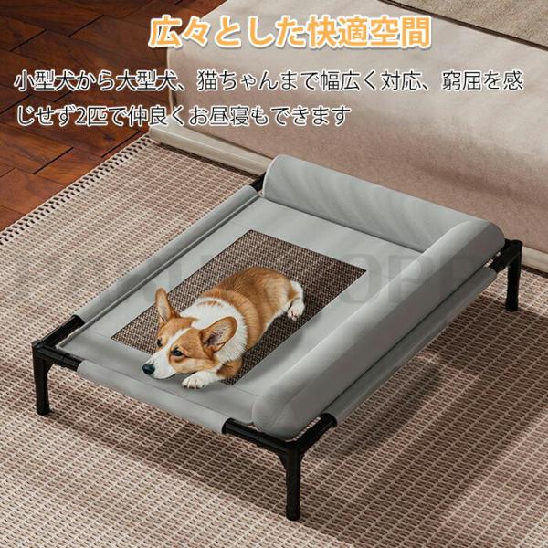 parumuoppa_caimtd0954_5_d_20250701120419