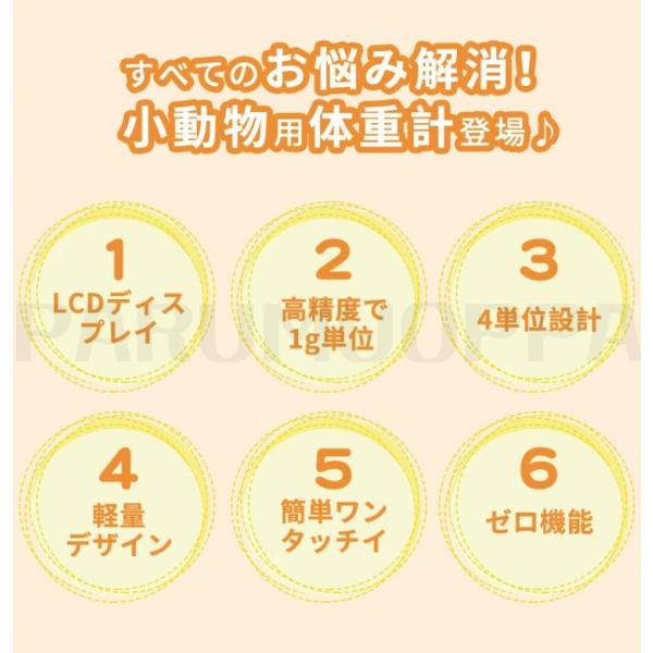 parumuoppa_caimtd1716_2_d_20250214145805