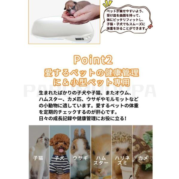 parumuoppa_caimtd1716_4_d_20250214145808