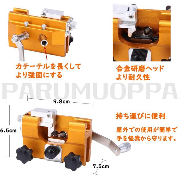 parumuoppa_caiw400_2_d_20240131100723