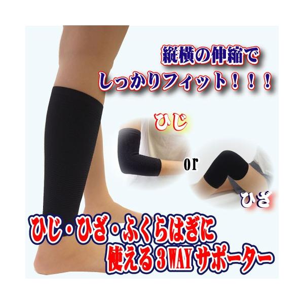 y労Ӊi zЂ Ђ ӂ͂Ɏg3WAYT|[^[