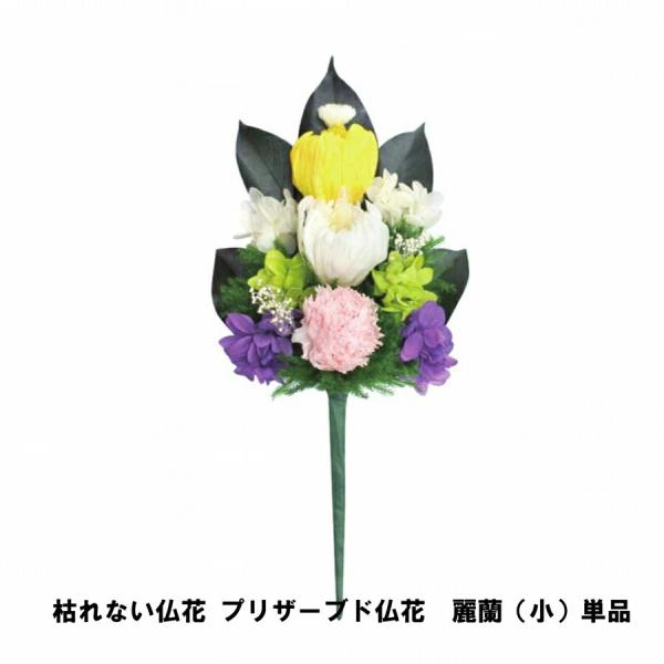 ͂Ȃ vU[uhԁ@헖ijPi