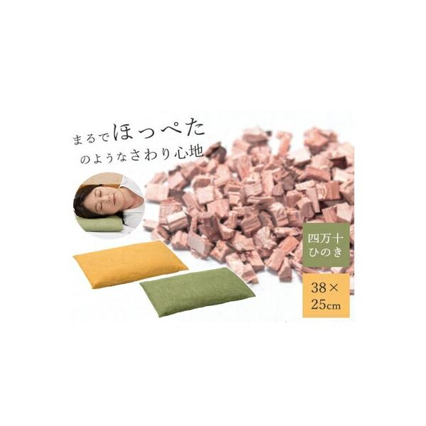 l\Ђ̂ق؂ O[/JV K13871