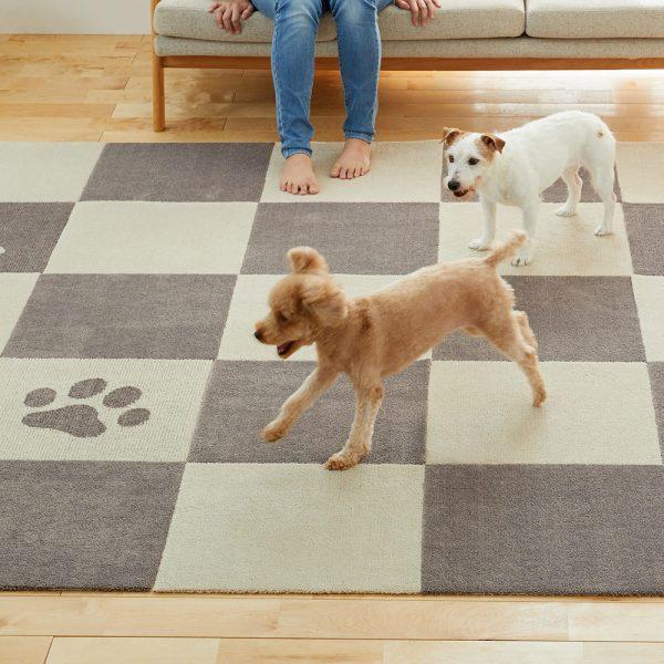 ピタペトモ パウ＆ボーン 2枚入り ブラウン(デザイン肉球＆骨45×45) オカ 返品種別B