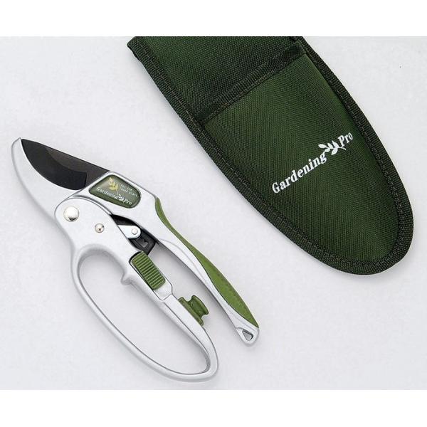 [J[ p[Abv SGS-25 00004331 KAKURI c[ZNV16 c[