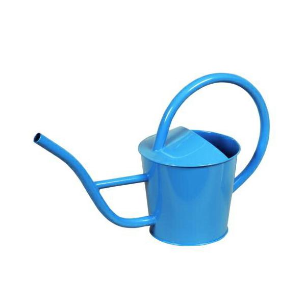 ywVizmΑn W[ u[ 81500