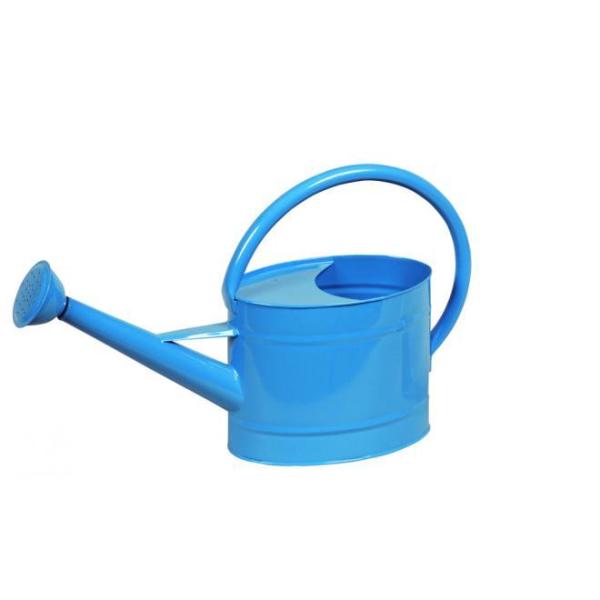 ywVizmΑn W[ u[ 81510