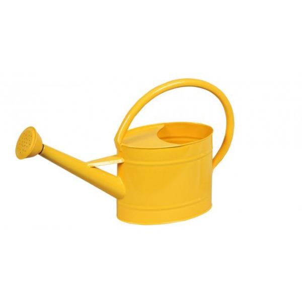 ywVizmΑn W[ CG[ 81512