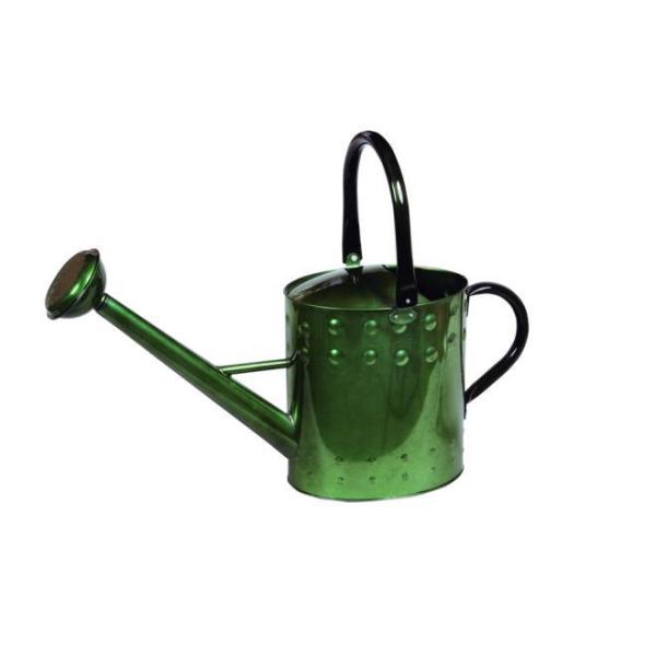 ywVizmΑn W[ O[ 81516