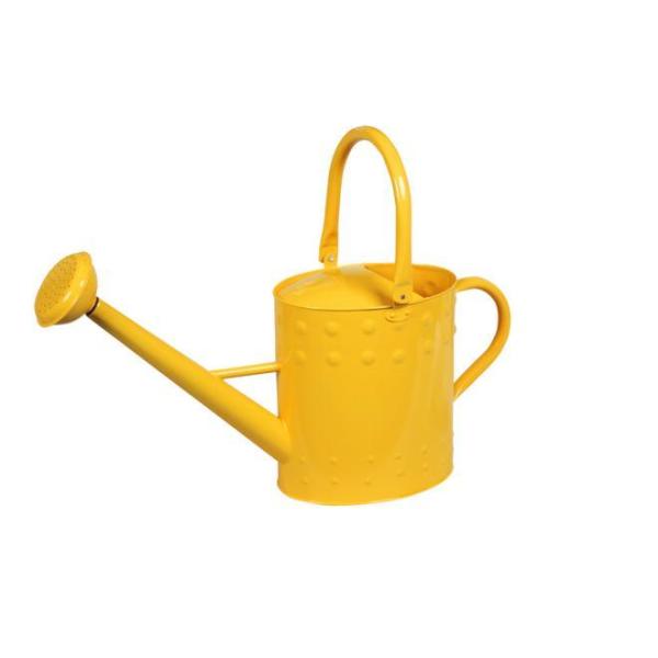 ywVizmΑn W[ CG[ 81517