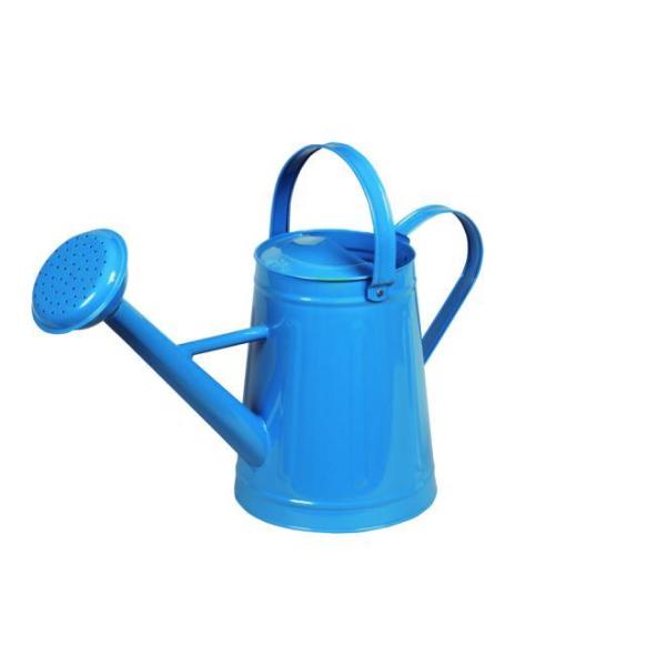 ywVizmΑn W[ u[ 81525