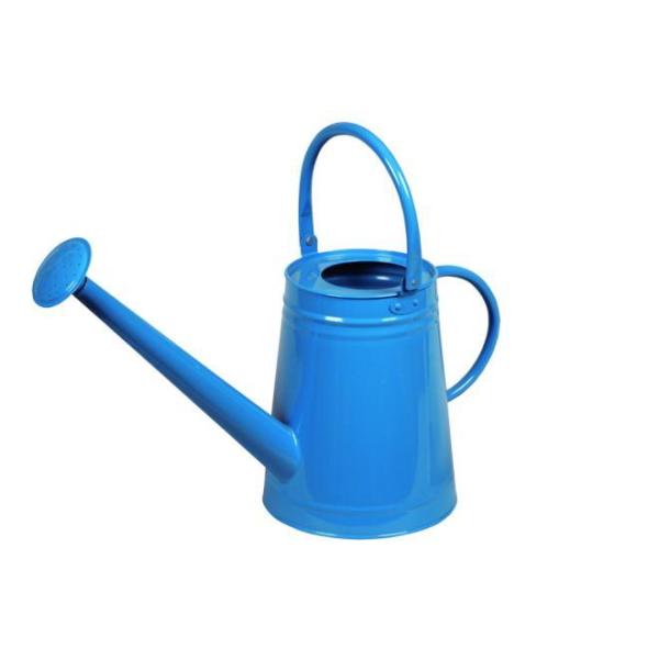 ywVizmΑn W[ u[ 81530