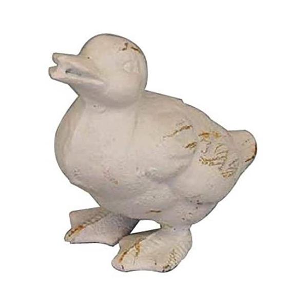 ywVizmΑn K[fAj} Aq 85443