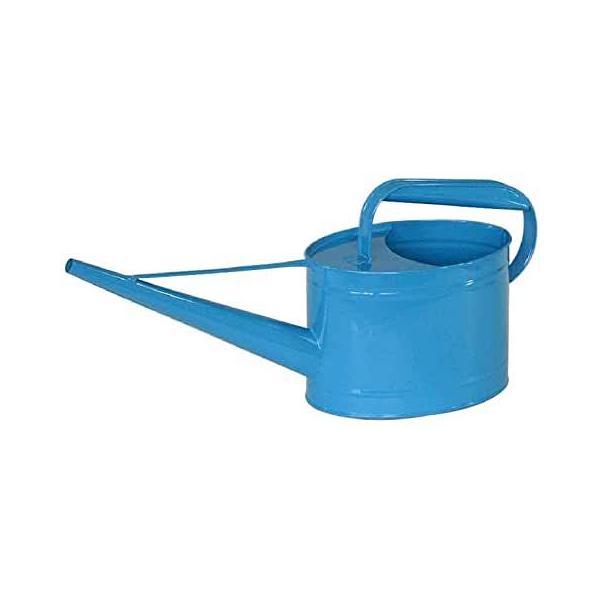 ywVizmΑn W[ u[ 81590