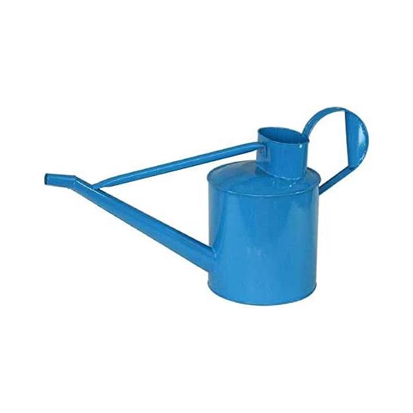 ywVizmΑn W[ u[ 81595