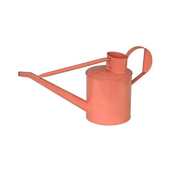 ywVizmΑn W[ sN 81597