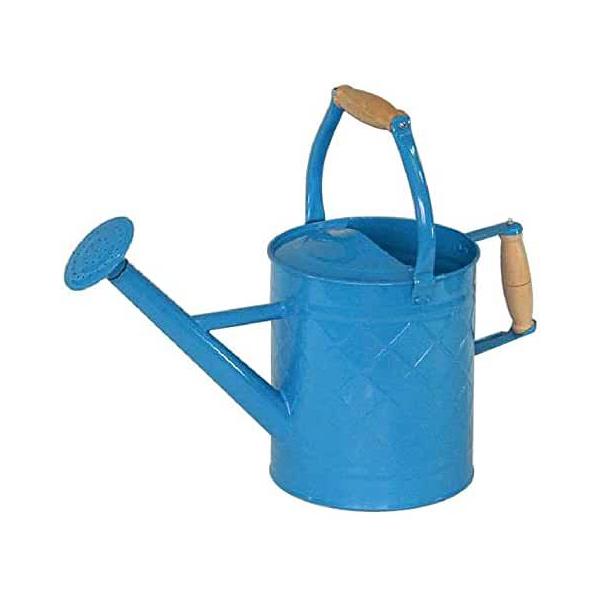 ywVizmΑn W[ u[ 81605