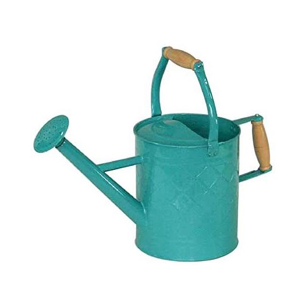 ywVizmΑn W[ O[ 81606