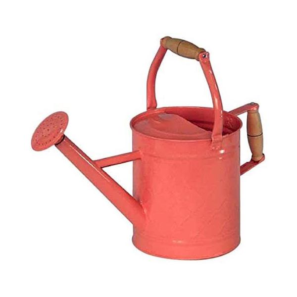 ywVizmΑn W[ sN 81607