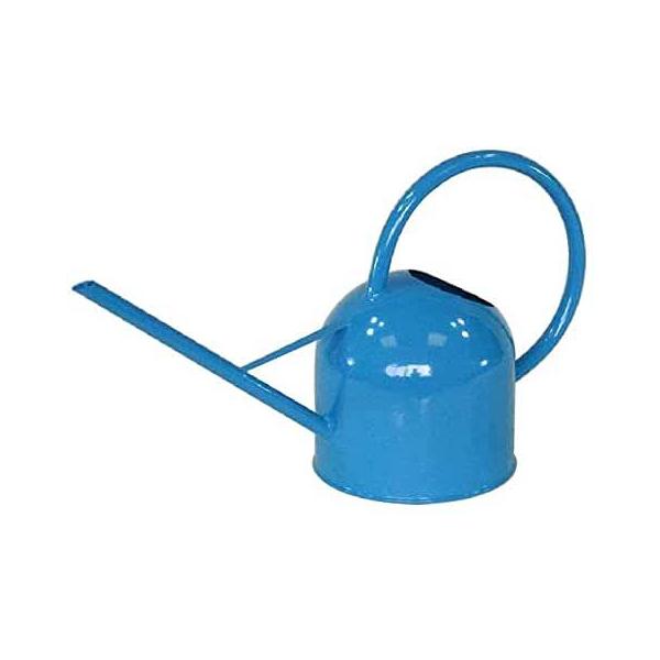 ywVizmΑn W[ u[ 81610