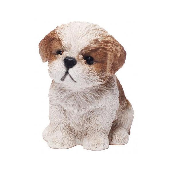 ywVizmΑn hbOI[ig V[Y[ 14064