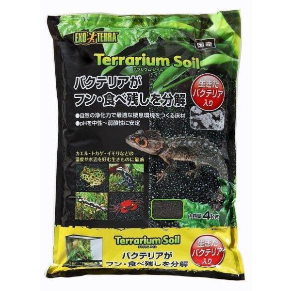 y2ZbgzeE\C 4kgx2Zbg