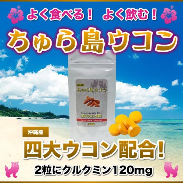 瓇ER@605ō1ăv[gNHi@Tvg /H/t/̉YlERz