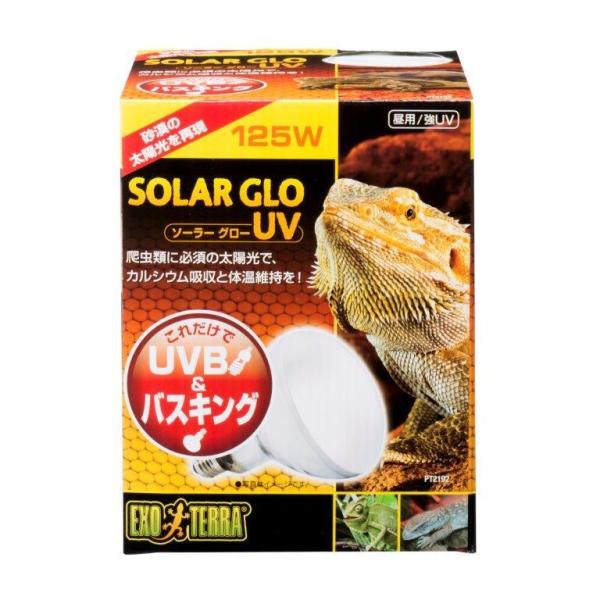 \[[O[UV 125W PT2192ywViz ybgpi ঒   UV O 