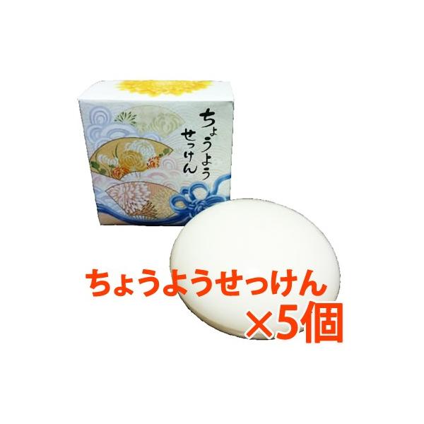 傤悤 1Zbg 100g×5 ΂ Ό  RX  A 4571117800051