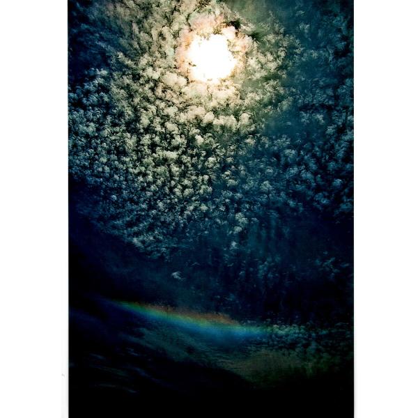 [商品名]秋元隆良 奇跡の写真 空に咲く花[仕様]■原材料　印画紙■サイズ・ゴールドカラー額：約415m×315mm、重量約980g・窓抜きサイズ（作品の見える大きさ）：約300mm×195mm■商品構成：銀塩写真×1、額×1■原産国：日本...