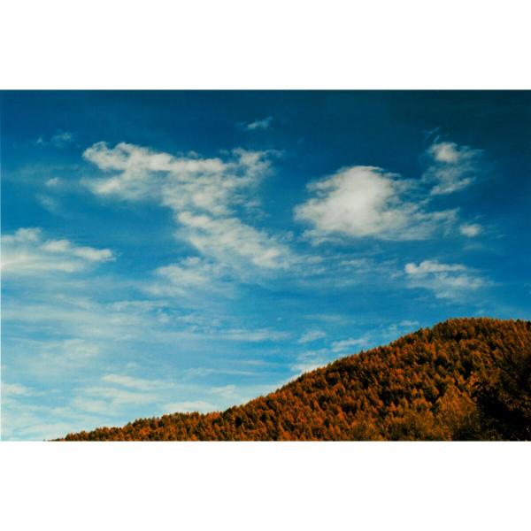 [商品名]奇跡の写真 飛龍[仕様]原材料　印画紙サイズ・ゴールドカラー額：約415m×315mm、重量約980g・窓抜きサイズ（作品の見える大きさ）：約300mm×195mm商品構成銀塩写真×1、額×1原産国　日本秋元隆良 奇跡の写真 飛龍...