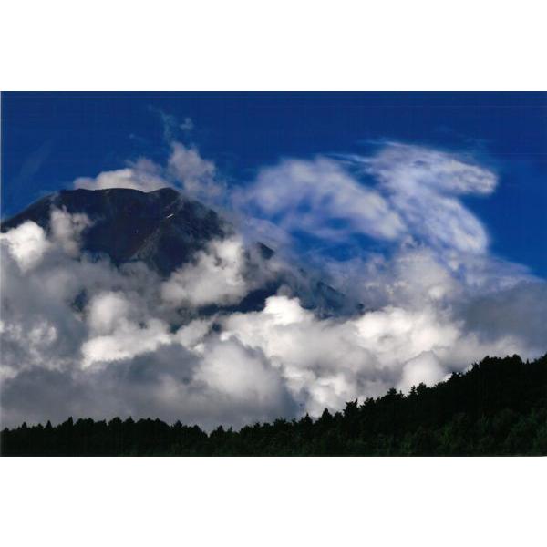 [商品名]秋元隆良氏 奇跡の写真[スペック]原材料　印画紙サイズ・ゴールドカラー額：約415m×315mm、重量約980g・窓抜きサイズ（作品の見える大きさ）：約300mm×195mm商品構成銀塩写真×1、額×1原産国　日本奇跡の写真シリー...