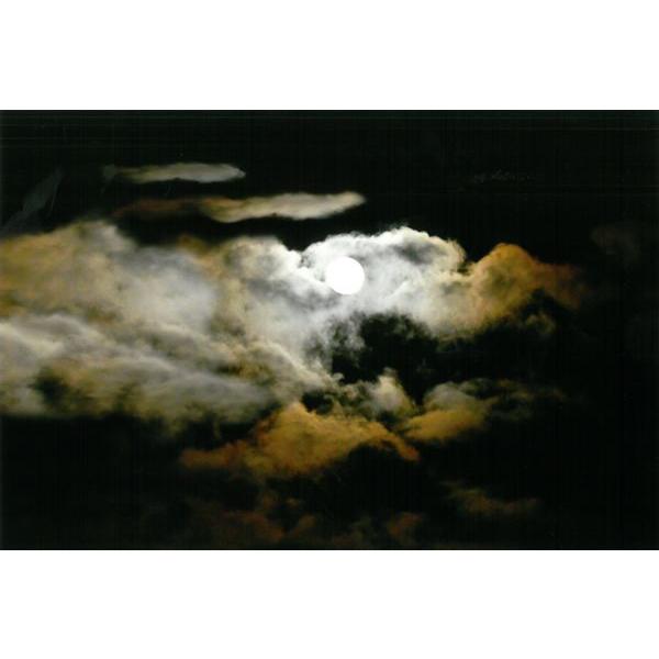 [商品名]秋元隆良氏 奇跡の写真 月光龍[スペック]原材料　印画紙サイズ・ゴールドカラー額：約415m×315mm、重量約980g・窓抜きサイズ（作品の見える大きさ）：約300mm×195mm商品構成銀塩写真×1、額×1原産国　日本奇跡の写...