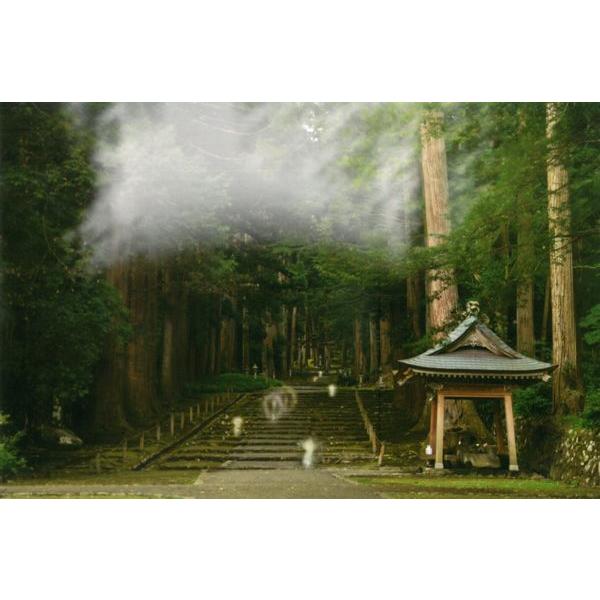 [商品名]秋元隆良氏 奇跡の写真 聖なる森の七福神[スペック]原材料　印画紙サイズ・ゴールドカラー額：約415m×315mm、重量約980g・窓抜きサイズ（作品の見える大きさ）：約300mm×195mm商品構成銀塩写真×1、額×1原産国　日...