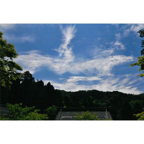 [商品名]秋元隆良氏 奇跡の写真 鳳凰・飛来(永久の平和を願って)[スペック]原材料　印画紙サイズ・ゴールドカラー額：約415m×315mm、重量約980g・窓抜きサイズ（作品の見える大きさ）：約300mm×195mm商品構成銀塩写真×1、...