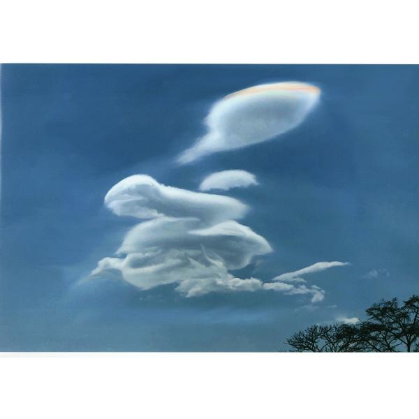 [商品名]奇跡の写真 白蛇伝説[仕様]原材料　印画紙サイズ・ゴールドカラー額：約415m×315mm、重量約980g・窓抜きサイズ（作品の見える大きさ）：約300mm×195mm商品構成銀塩写真×1、額×1原産国　日本秋元隆良 奇跡の写真 ...