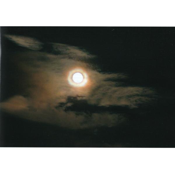 HǎwՂ̎ʐ^xũhSACv摜 EPSON 358